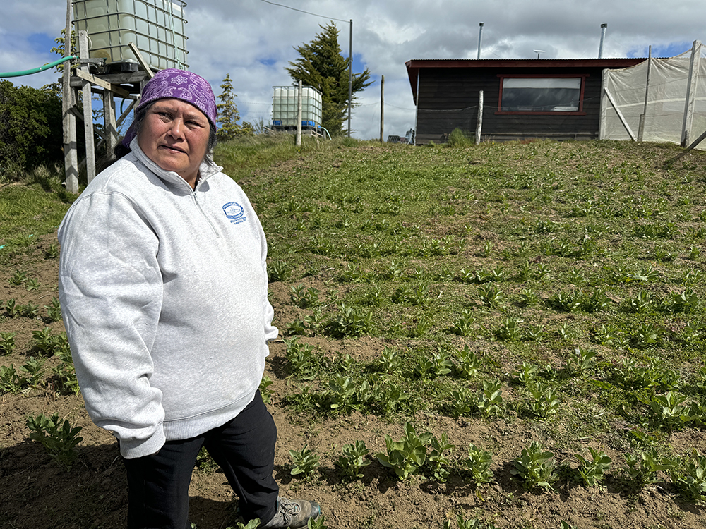 Buscan impulsar implementación de faros agroecológicos en Magallanes