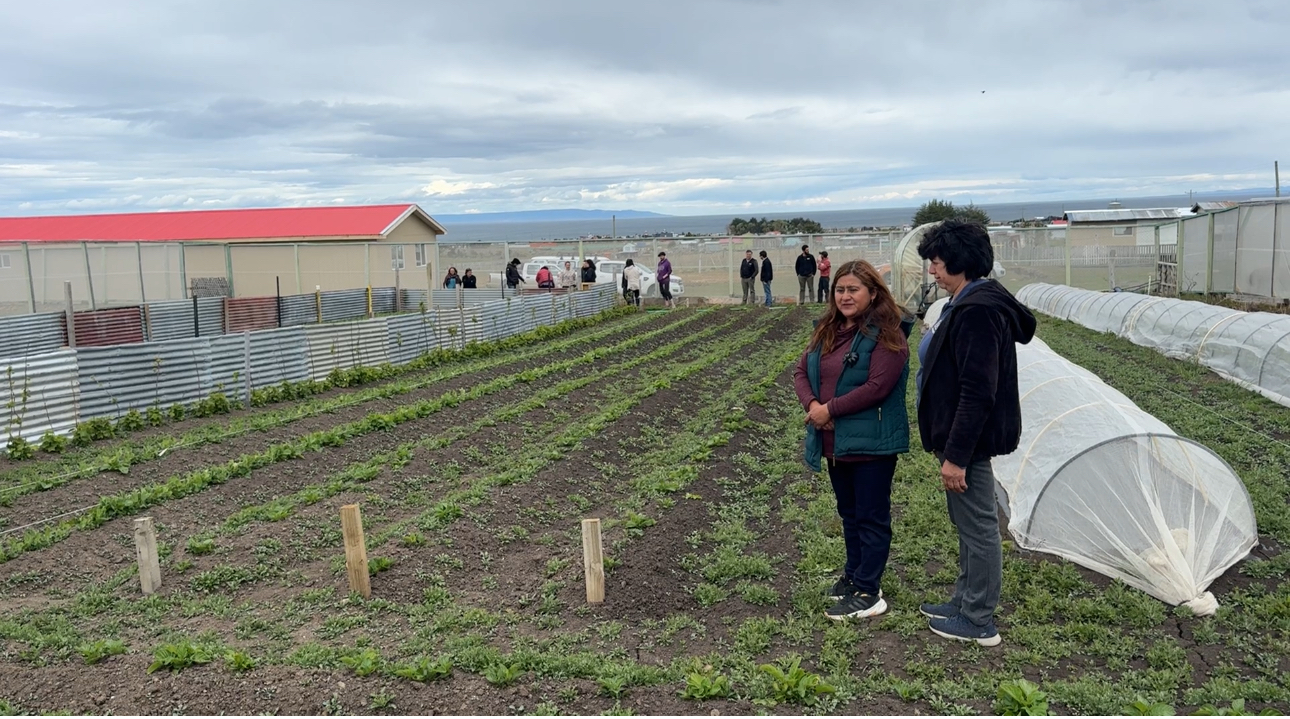 De suelos pobres a tierra fértil: la revolución silenciosa de Magallanes