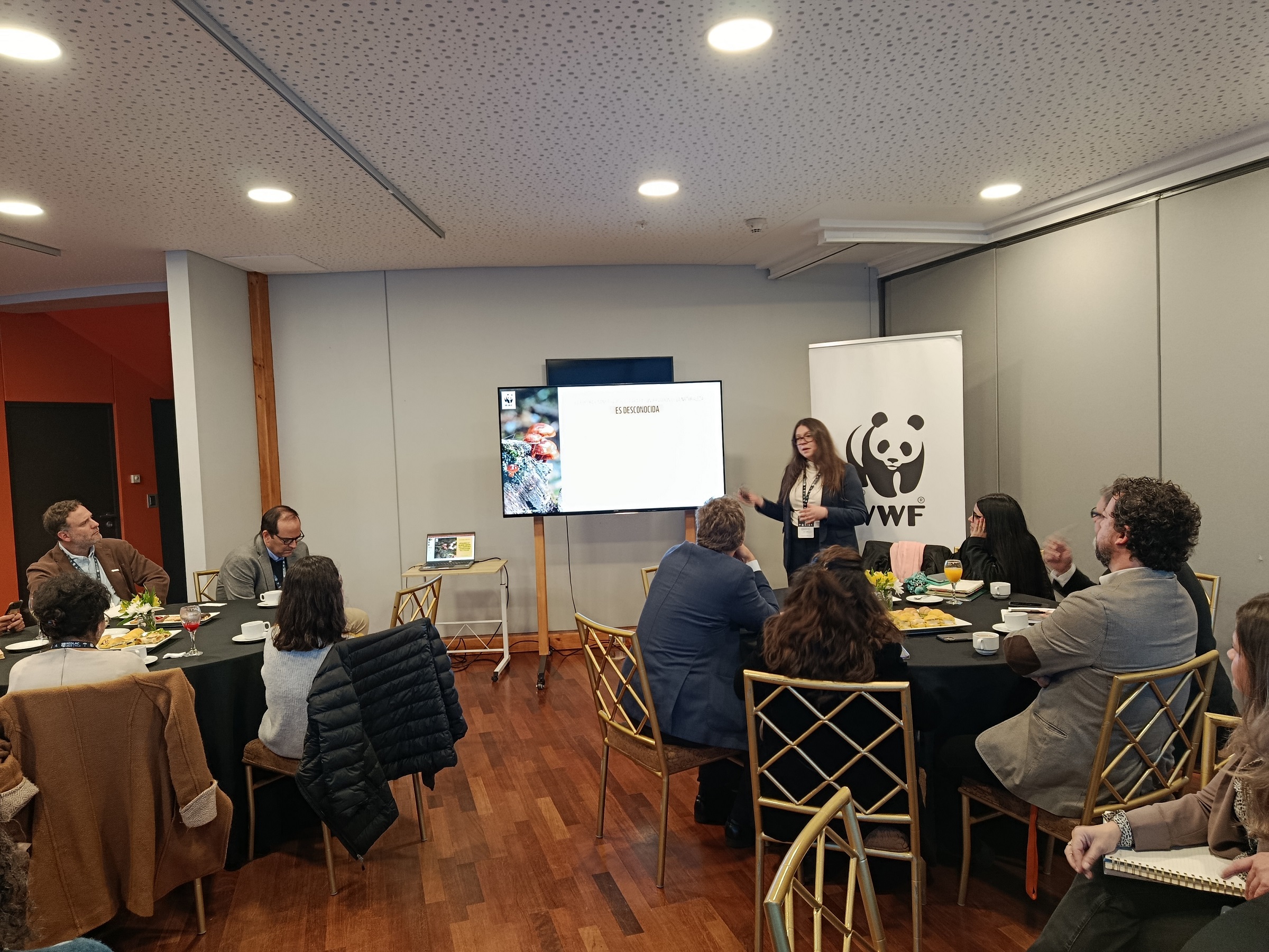 WWF Chile propone hoja de ruta financiera para la naturaleza